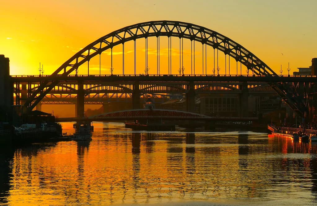 Fish and Chips Newcastle: Where to Eat In or Take Away
