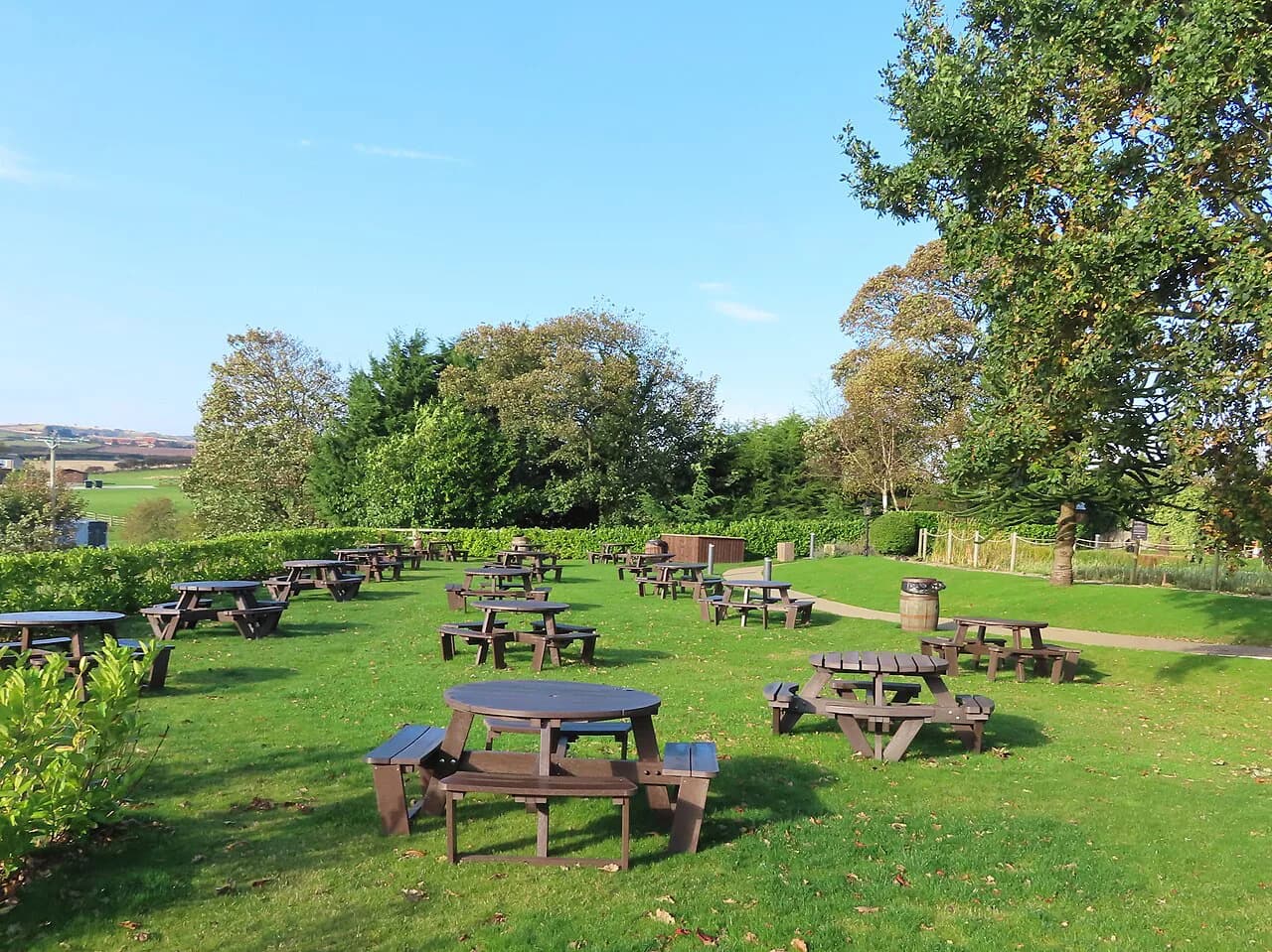 Pub Food in Whitby: Three Pubs and What Each Does Best