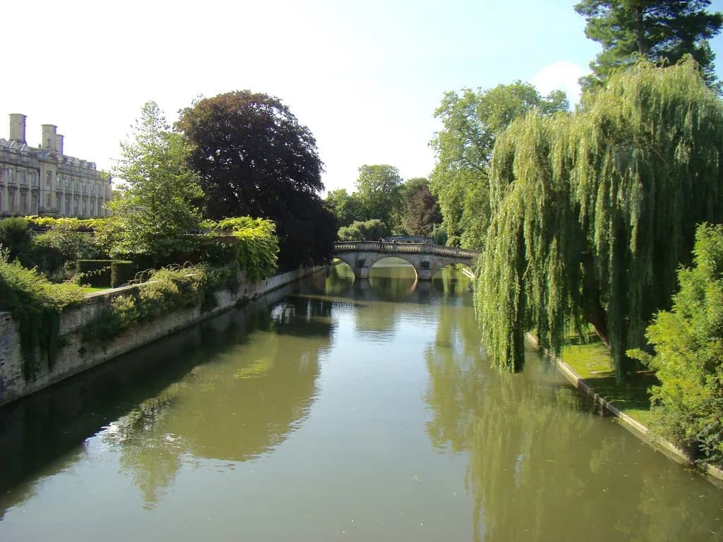 Seafood Restaurants Cambridge: Where to Eat Fish