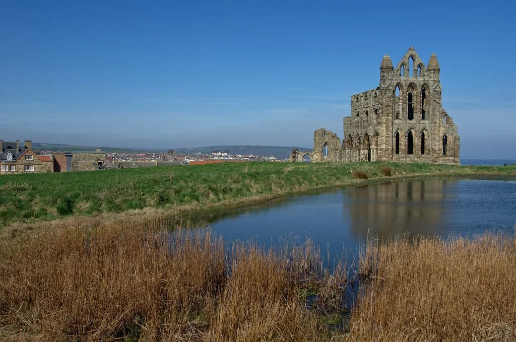 Seafood Restaurants Whitby: Where to Eat Fish and Shellfish