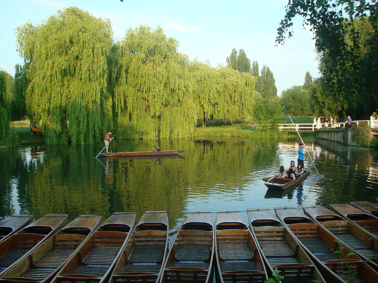 Punts on the River Cam beside weeping willows, Cambridge.