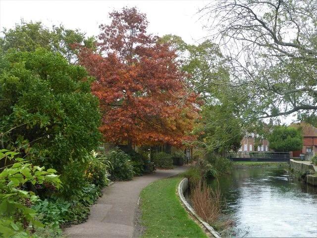 Autumn trees beside the river in Westgate Gardens, Canterbury.