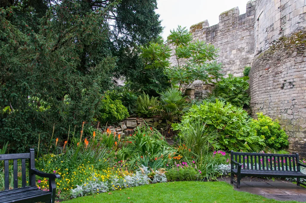 Flower beds beside the old walls in Museum Gardens, York.