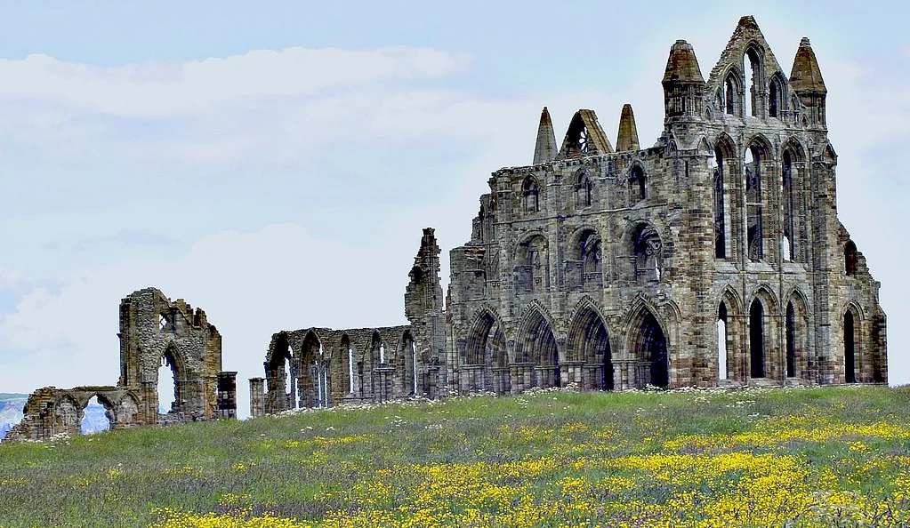 Whitby Abbey ruins above a meadow of wildflowers.