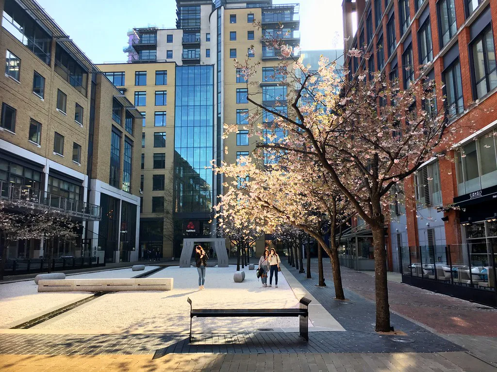 Spring blossom between modern office blocks in central Birmingham.