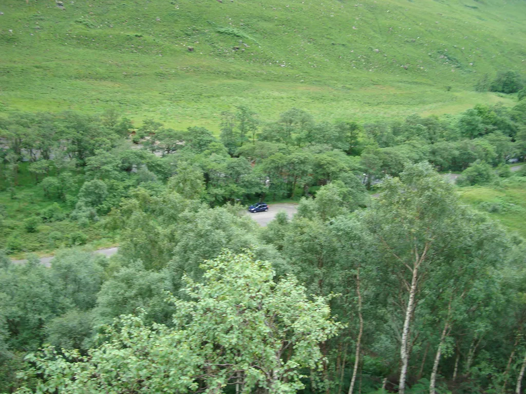 Woodland in Glen Nevis near Fort William.