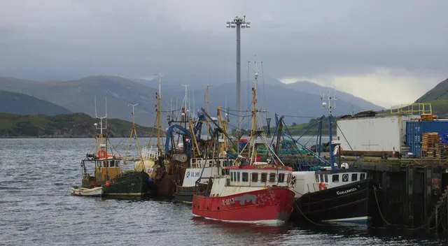 Fishing boats moored in Ullapool harbour.