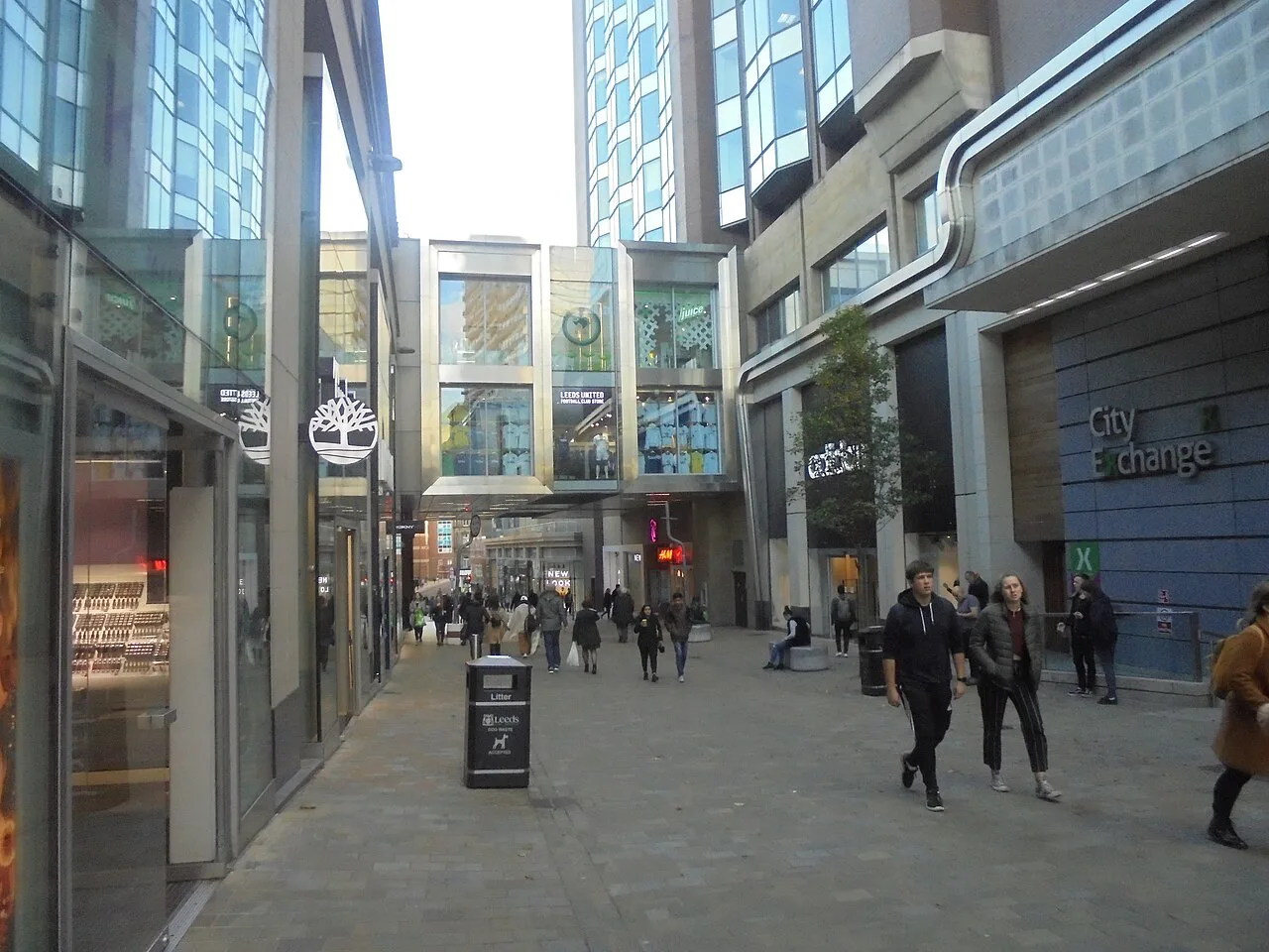 Albion Street in Leeds city centre.