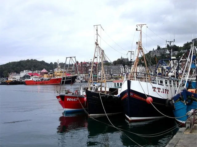 Fishing boats moored in Oban harbour.